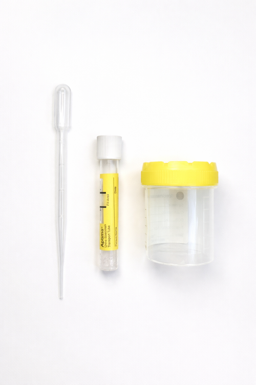 Chlamydia and Gonorrhoea Kit (Urine-based)